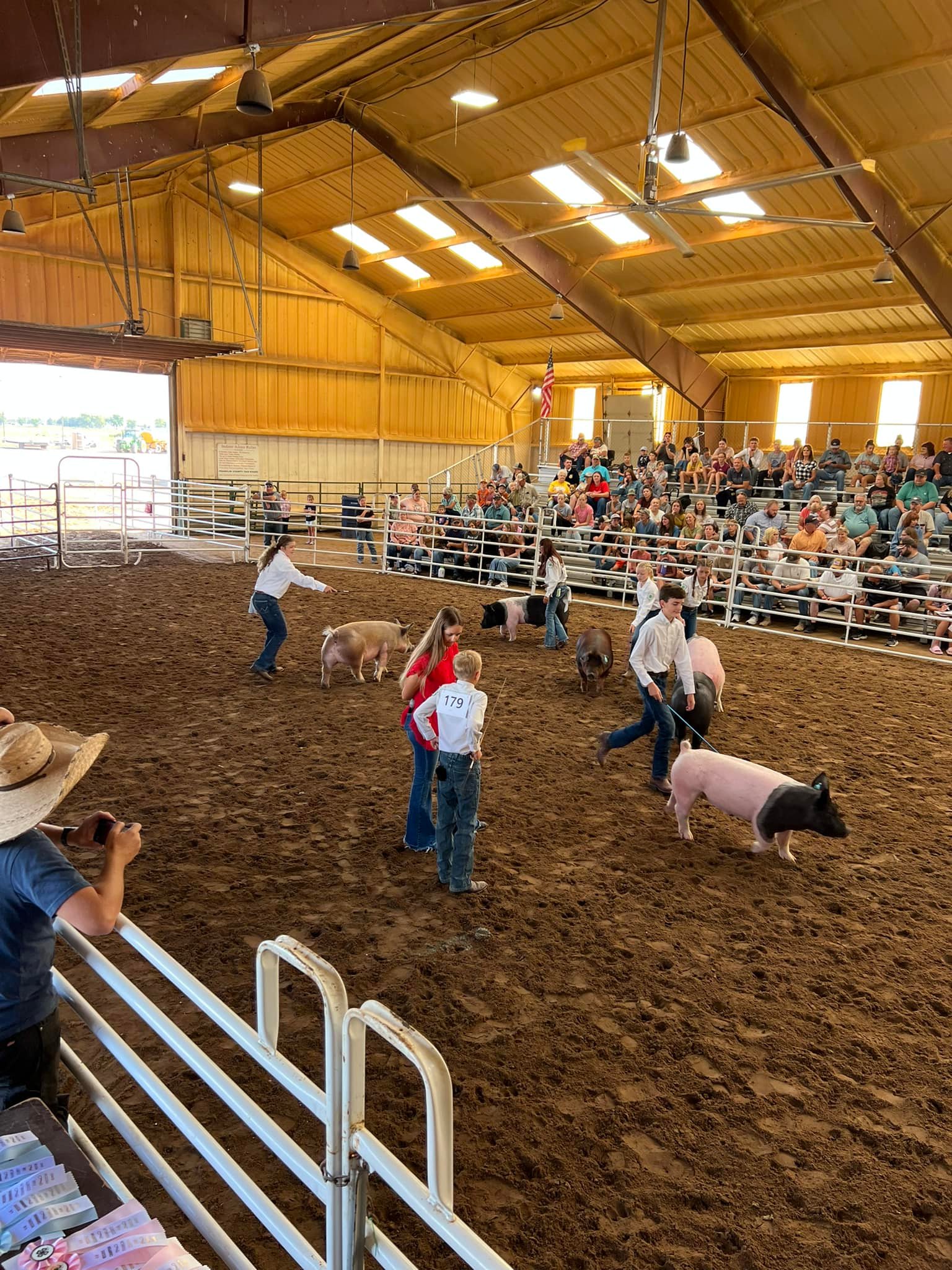 PIG SHOW AT THE FAIR